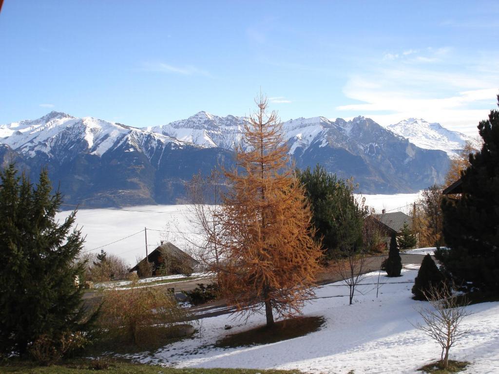 Le Maurillon Daire Saint-Pancrace  Dış mekan fotoğraf